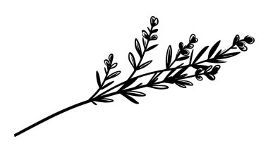 El çizimi çiçek dekoratif elementler