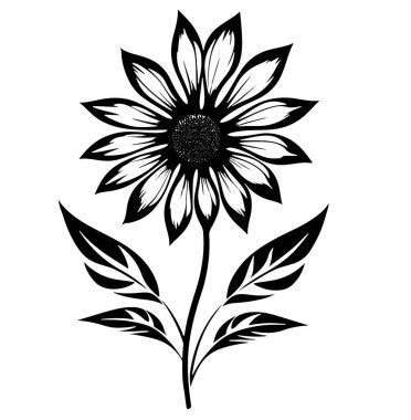 vektör çiçeği, botanik illüstrasyon, siyah-beyaz oymalı mürekkep sanatı, izole edilmiş