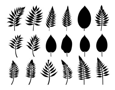 Bitkilerin siyah siluetleri.