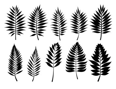 Siyah tropikal bitkiler seti