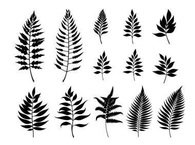 Beyaz arkaplana siyah yaprak siluetlerini yerleştir