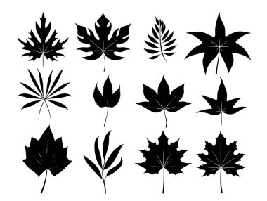 Siyah yaprak siluetleri. vektör