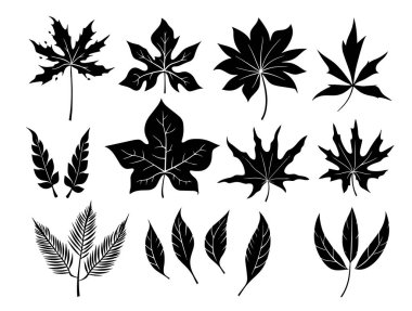 yaprakları kümesi. vektör çizim.