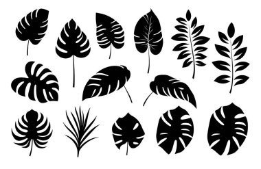 Tropikal yapraklardan oluşan siyah siluetler. vektör illüstrasyonu