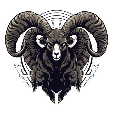 Koç başı, vektör illüstrasyonu