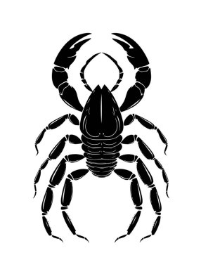 Akrebin vektör silueti