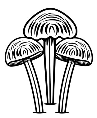 Çizgi film mantarlarının vektör çizimi