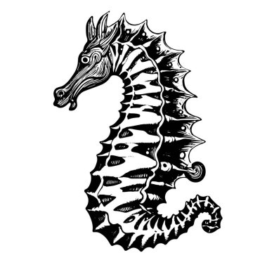 At dövmesi taslak vektörü. Siyah at kafası.