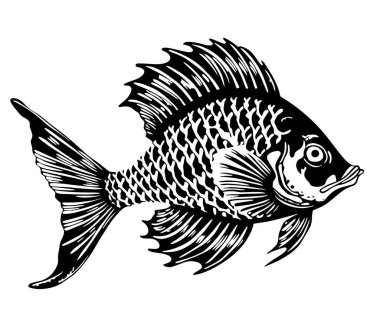 İzole edilmiş bir karikatür balığının vektör çizimi.