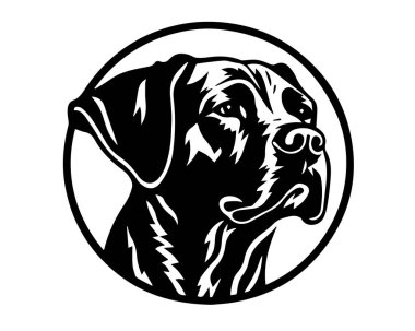 Bir köpeğin vektör görüntüsü. vektör illüstrasyonu