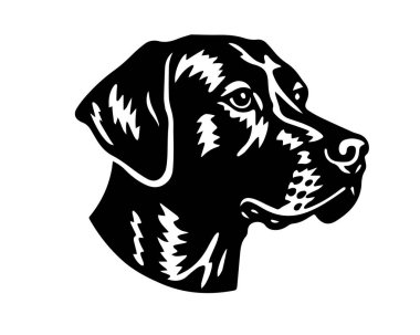 head of a black dog with a collar.