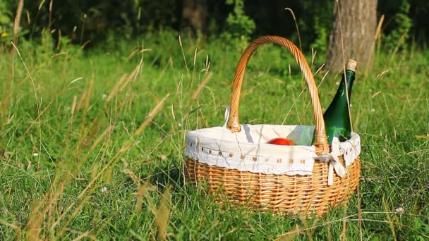 Kosz piknikowy na zielonej trawie w słoneczny dzień. (Pal) — Wideo stockowe