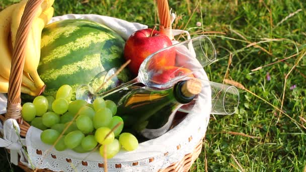 Picknickkorb auf grünem Gras an einem sonnigen Tag. (pal) — Stockvideo