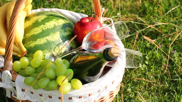 Picknickkorb auf grünem Gras an einem sonnigen Tag. (ntsc) — Stockvideo