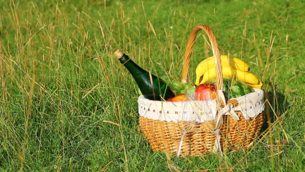 Picknickkorb auf grünem Gras an einem sonnigen Tag. (pal) — Stockvideo