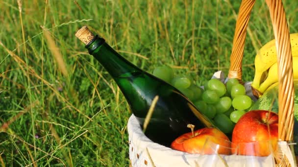 Cesta de piquenique na grama verde em um dia ensolarado. (NTSC ) — Vídeo de Stock