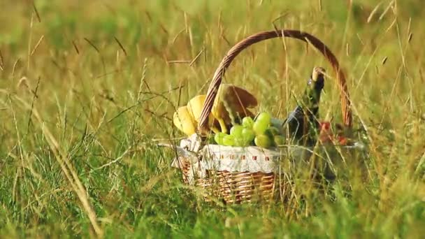 Корзина для пикника на зеленой траве в солнечный день. (PAL ) — стоковое видео