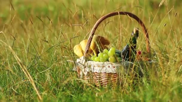 Picknickkorb auf grünem Gras an einem sonnigen Tag. (ntsc) — Stockvideo