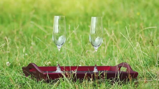 Um copo de vinho na grama (PAL ) — Vídeo de Stock