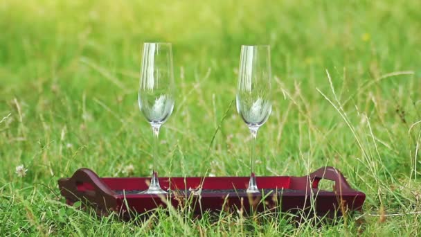 A glass of wine on the grass (NTSC) — Stock Video