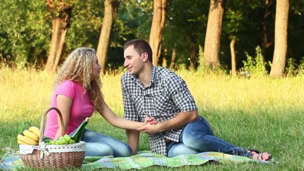 Paar op een picknick op een zomerdag (Pal) — Stockvideo