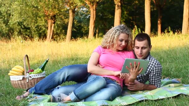 Paar op een picknick op een zomerdag (Ntsc) — Stockvideo