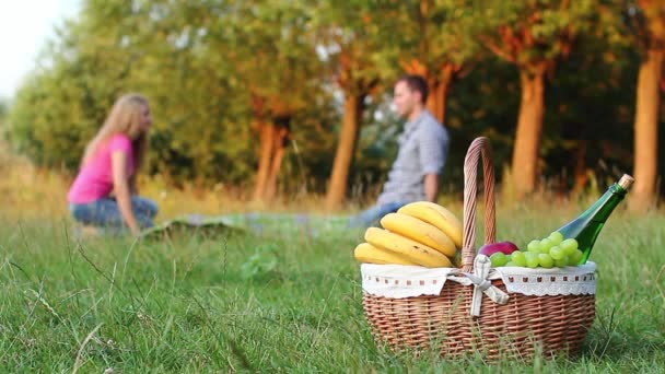 Paar bei einem Picknick an einem Sommertag (ntsc)) — Stockvideo