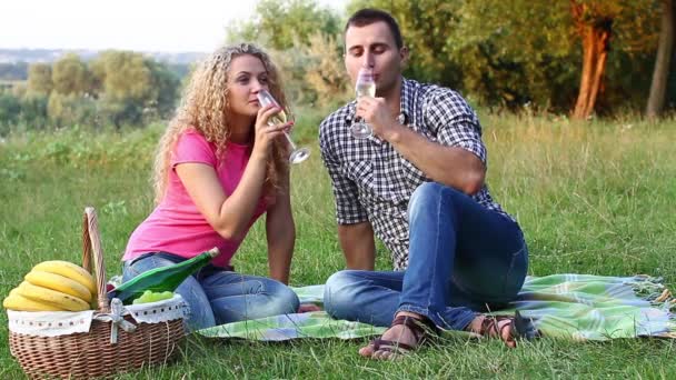 Paar op een picknick op een zomerdag (Ntsc) — Stockvideo