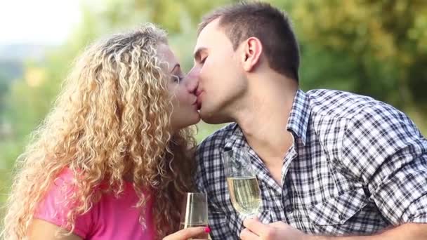 Пара в пікніка на літній день (Ntsc) — стокове відео