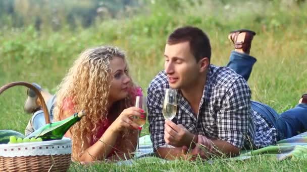 Couple at a picnic on a summer day (NTSC) — Stock Video