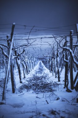 Kırsalda kar yağıyor.