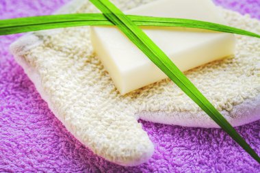 Duş için eldiven fırçalayın