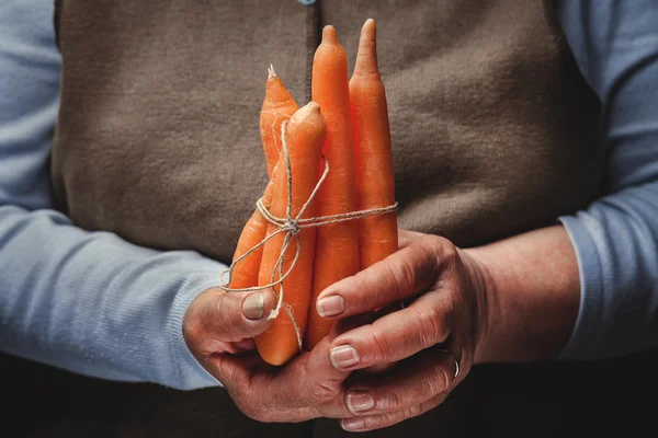 Φρέσκα καρότα στο χέρι — Φωτογραφία Αρχείου