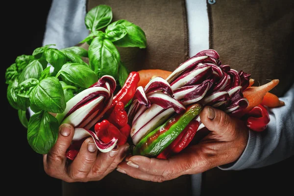 Fruits and vegetables in hands — Stock Photo, Image
