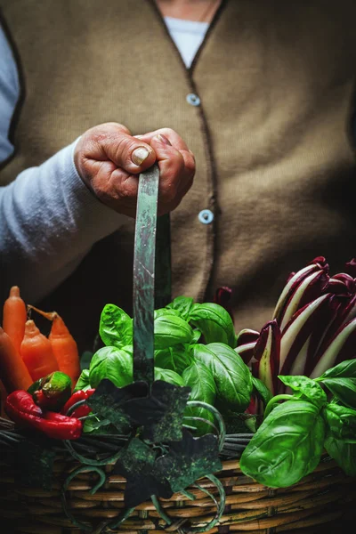 Groenten en fruit in de mand — Stockfoto