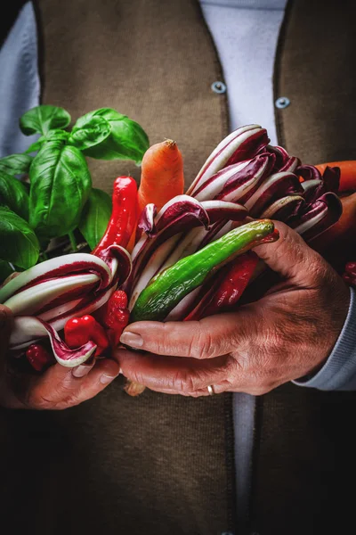 Groenten en fruit in handen — Stockfoto