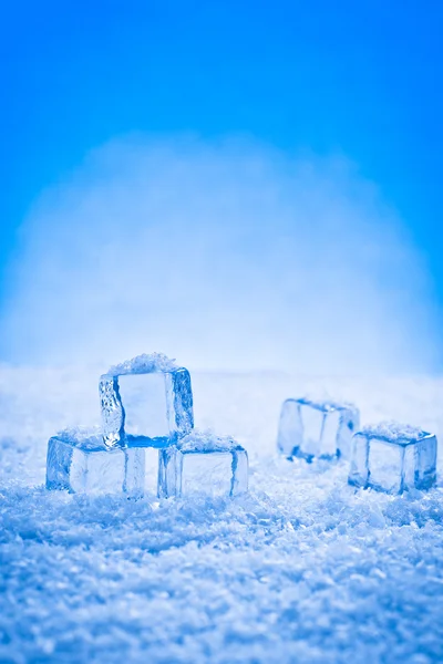Wet ice cubes and snow — Stock Photo, Image