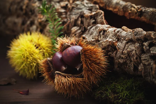 Castañas, frutas de otoño —  Fotos de Stock