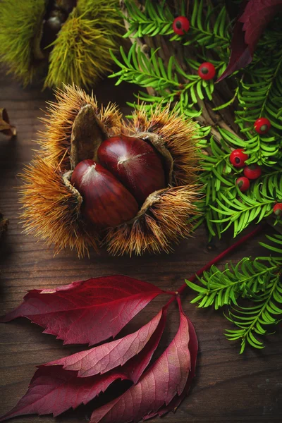 Kestane ve üzüm — Stok fotoğraf