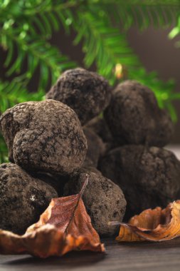 Siyah mantar mantarı