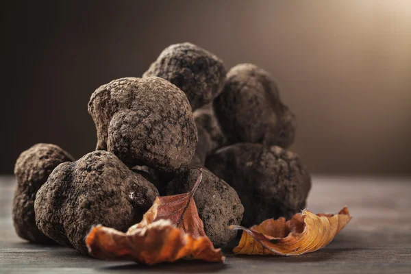 Fungo tartufo nero — Foto Stock