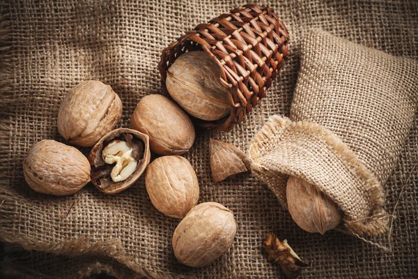 Handvol noten — Stockfoto