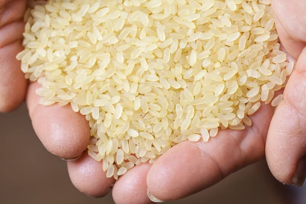 Коричневий рис в старій руці — стокове фото