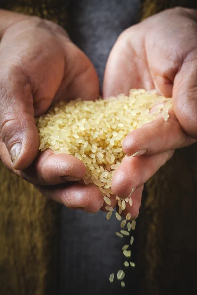 Hnědá rýže ve starých ručních — Stock fotografie