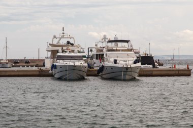 tekneler gül, Catalonia, İspanya