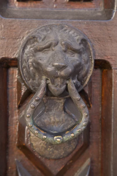 Antieke Leeuw knocker — Stockfoto