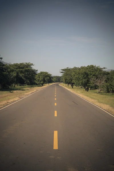 木と道路表示 — ストック写真