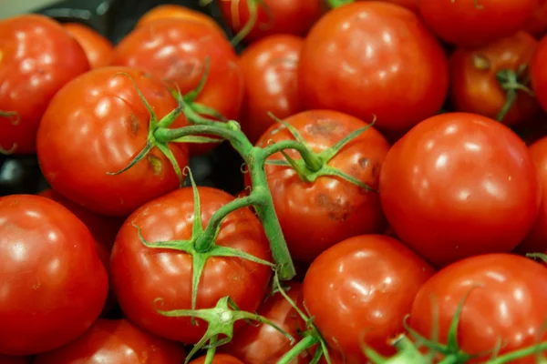 Rote Gruppe von Tomaten — Stockfoto