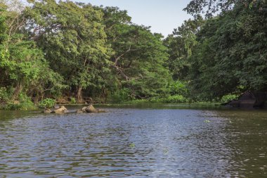 isletas de granada view from Nicaragua