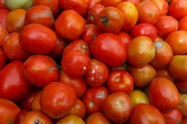 Rote Tomaten als Hintergrund — Stockfoto